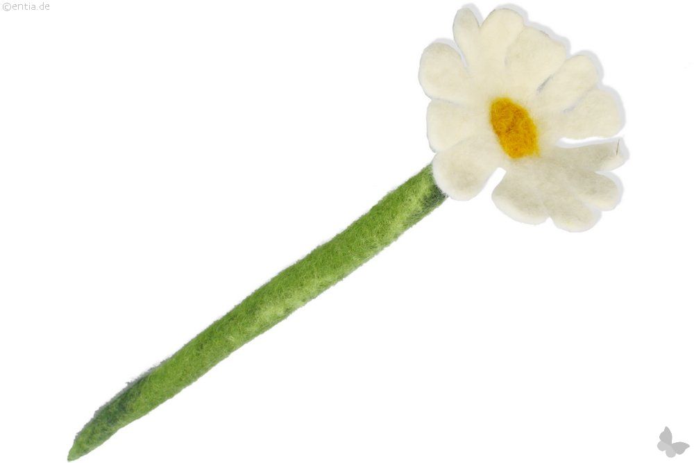 Filz Blume Margerite Weiß Nachhaltiges Aus Sozialen - 